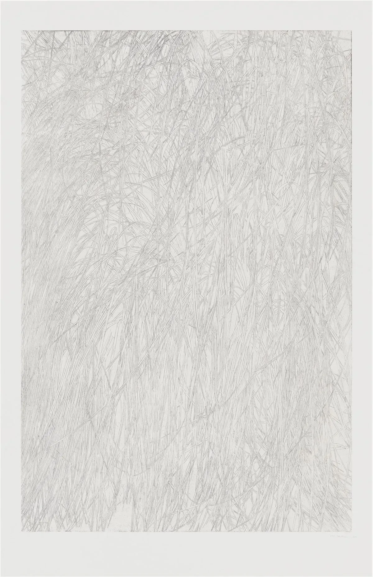 Untitled (grass) by Toba Khedoori