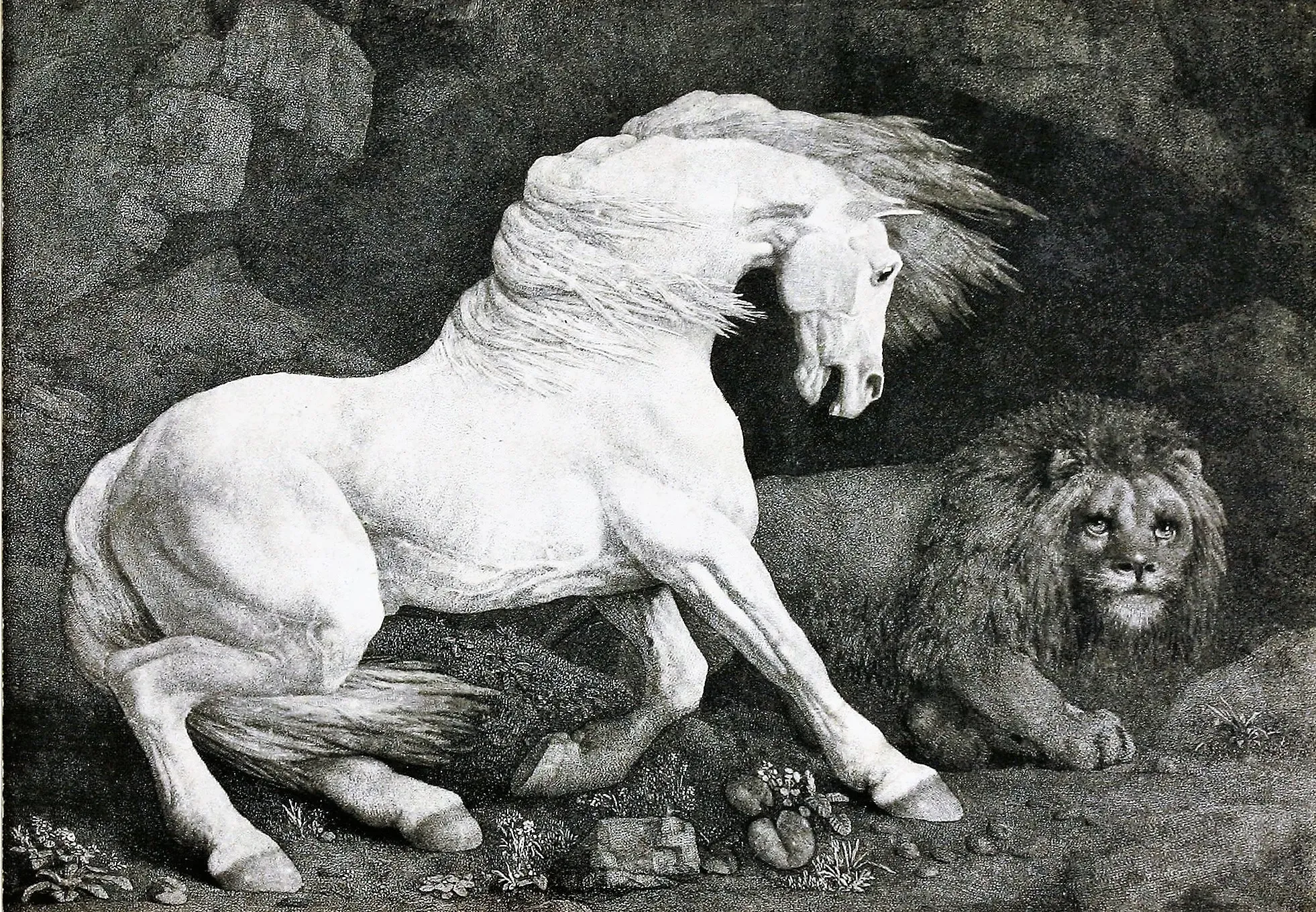 A Horse Affrighted at a Lion. by George Stubbs, A.R.A.