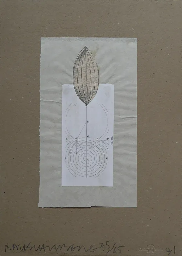 Moroccan Shirtboard by Robert Rauschenberg