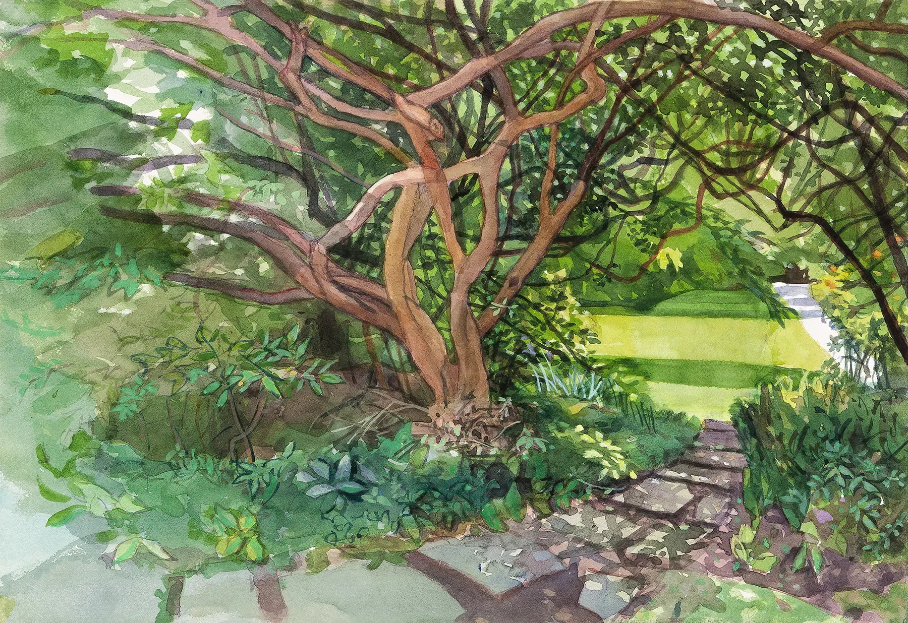 Secret Garden by Jane E. Goldman