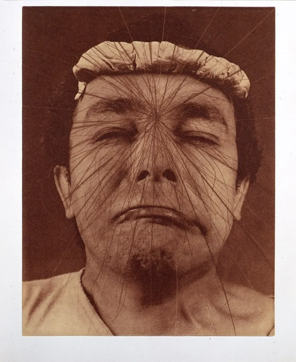 Meine Spinne im Hirn by Arnulf Rainer