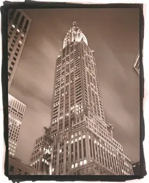 Gum BiChromate with Platinum and Palladium by Tom Baril
