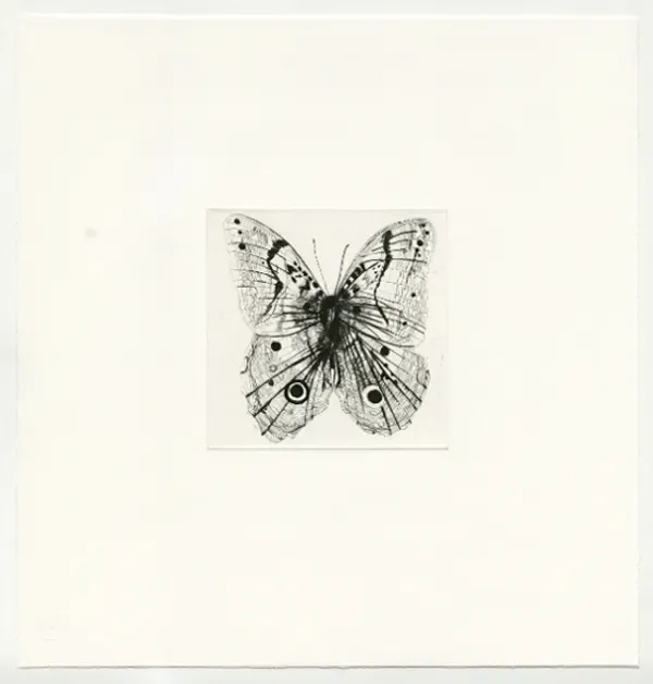 untitled from Reverse Reflection by Valerie Hammond