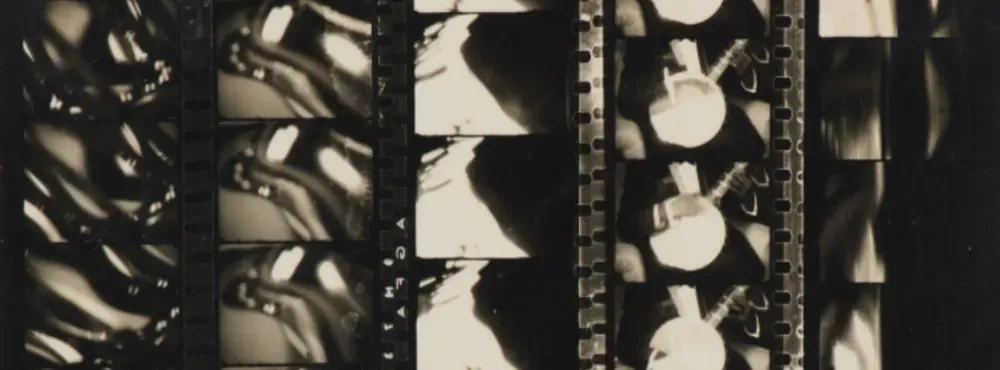 Cover image for Timothy Baum