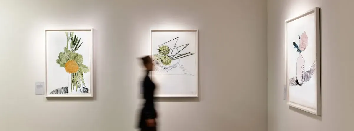 Cover image for Shapero Modern