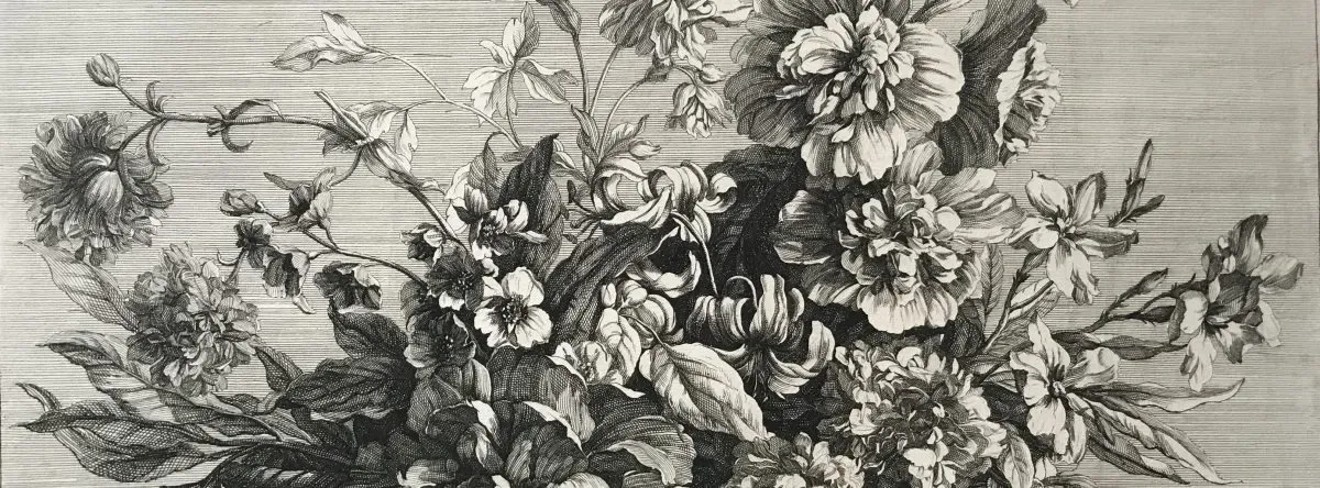 Cover image for Pia Gallo LLC