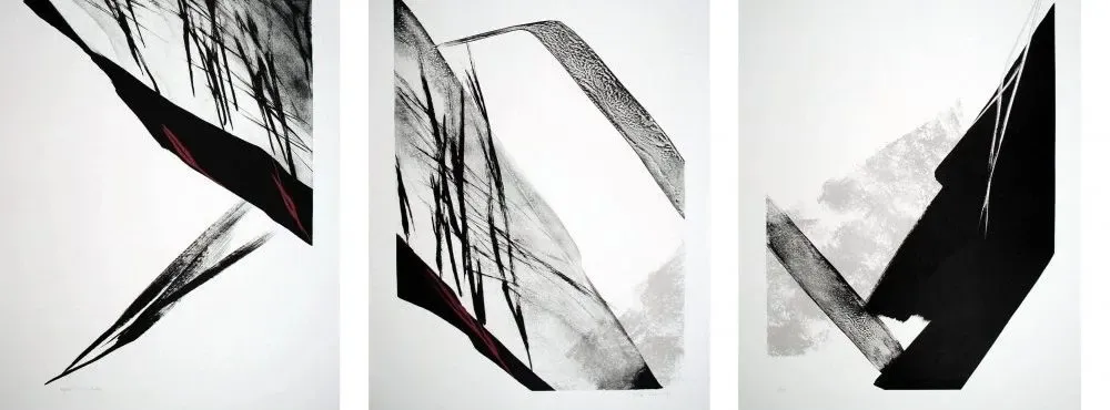 Cover image for The Tolman Collection of New York