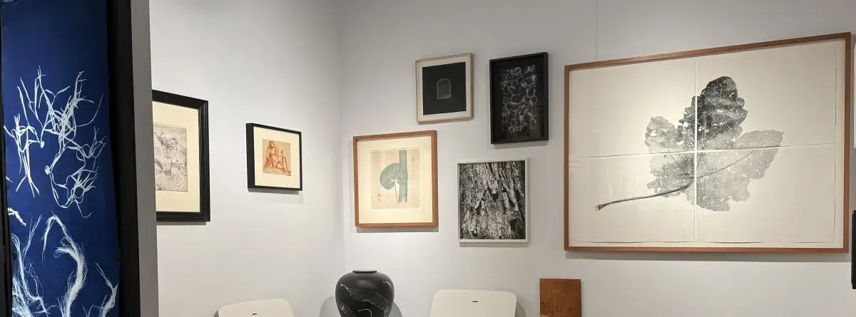 Cover image for Zucker Art Books
