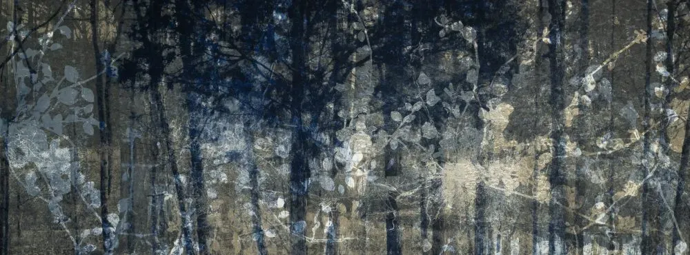 Cover image for Highpoint Editions