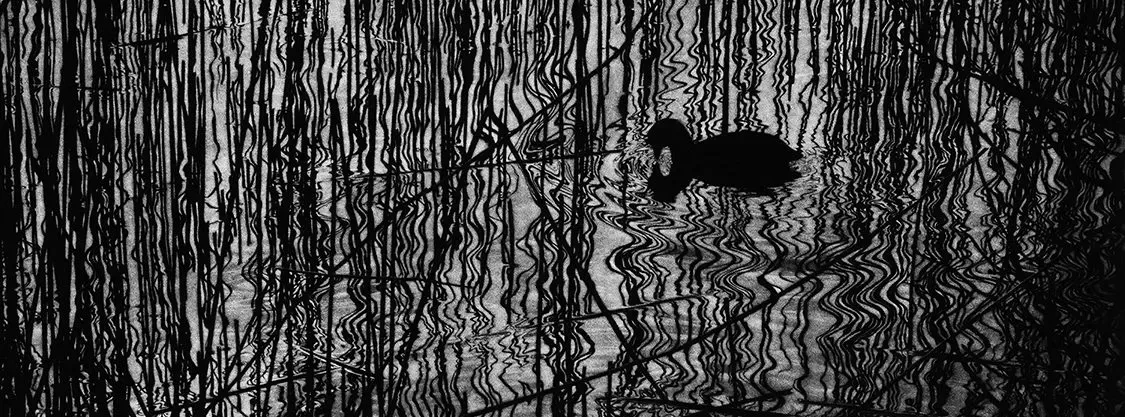 Cover image for Rabley Gallery
