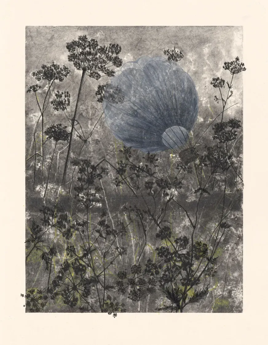 Anne-Laure Zevi: Drawing on Lithography, London