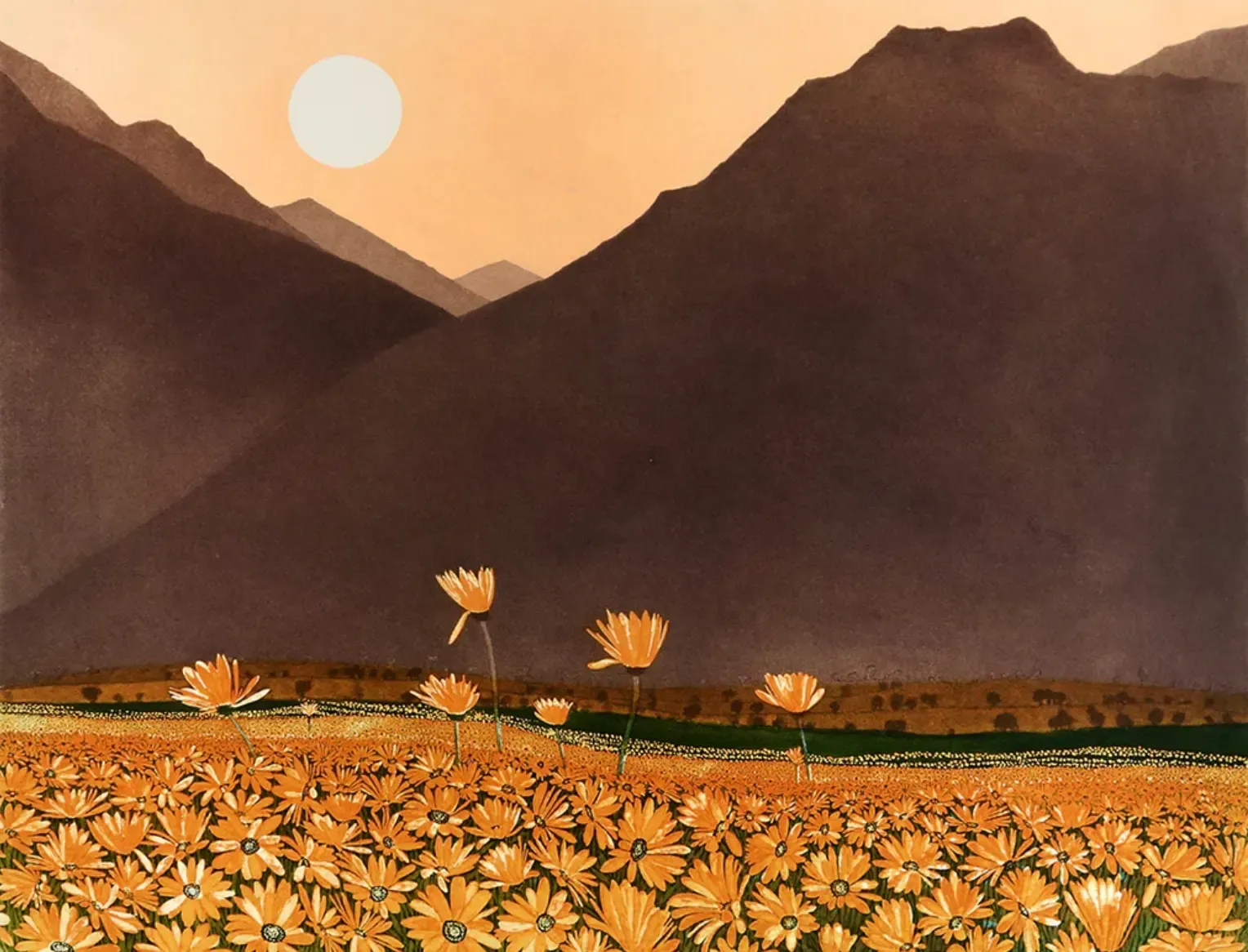 Robert Connell & Phil Greenwood: Through The Branches, Seattle
