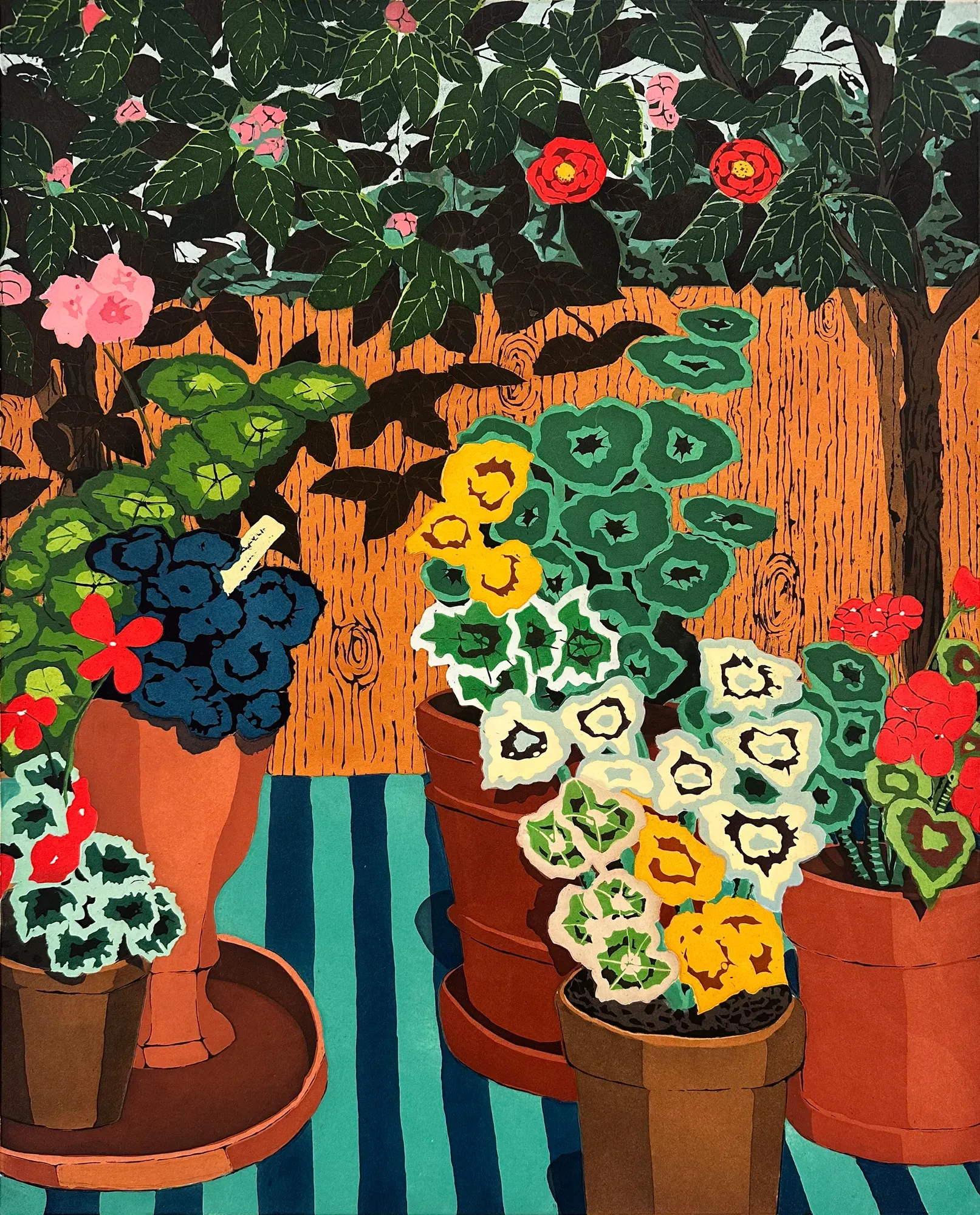 Hilary Pecis: Geraniums and Camellias