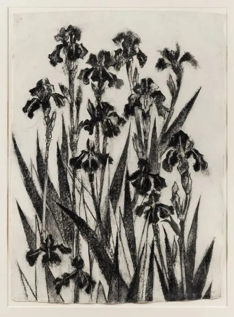 John Alexander: Nature Observed, San Francisco