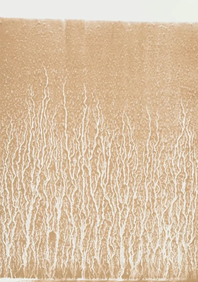 Time and Tide: Prints by Richard Long and David Nash, London
