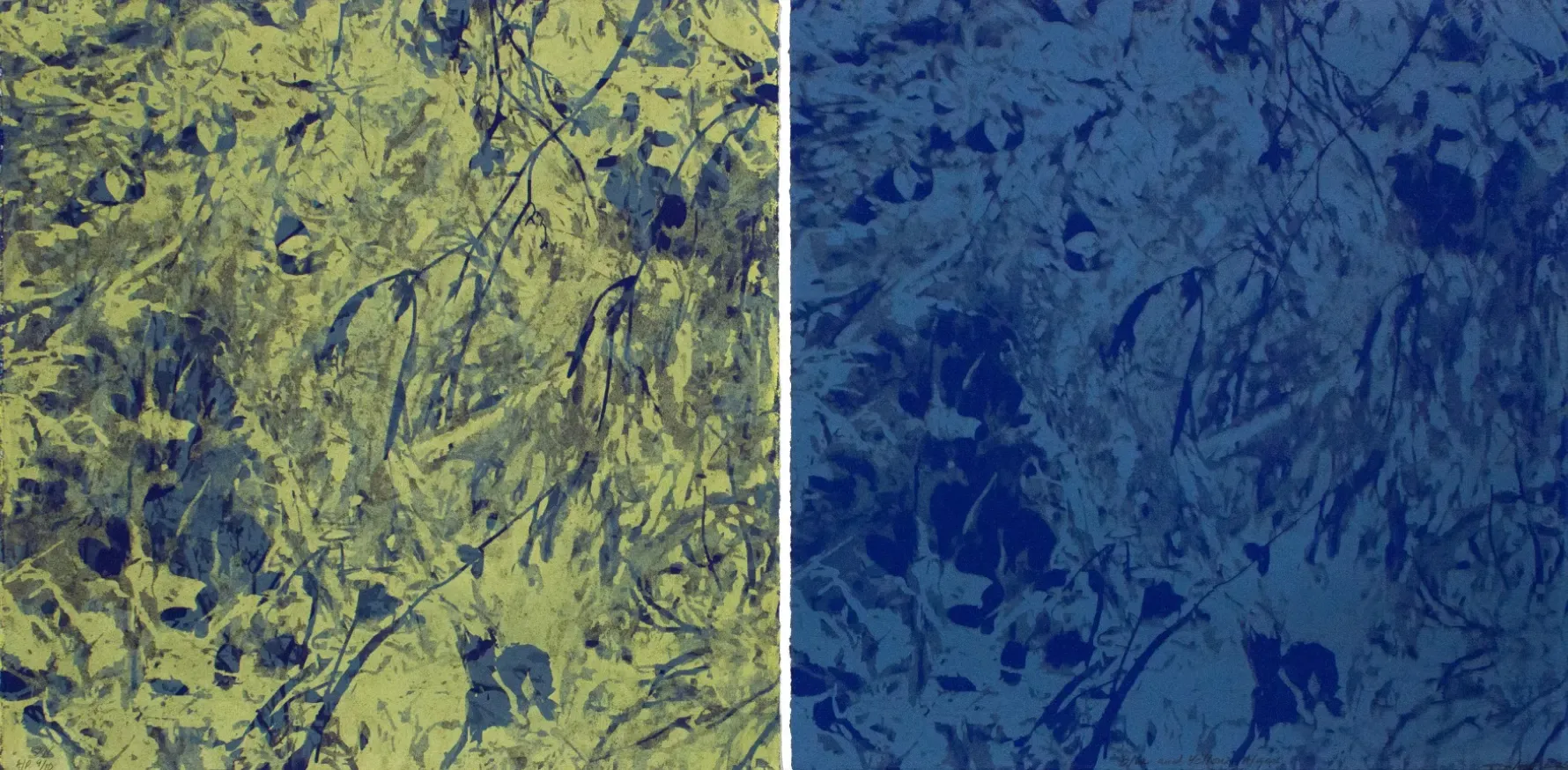 Soledad Salamé: Camouflage, Baltimore