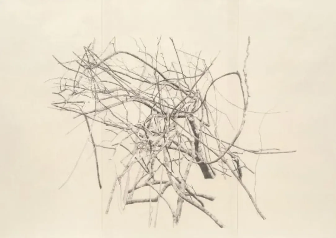 Toba Khedoori: New Editions, New York