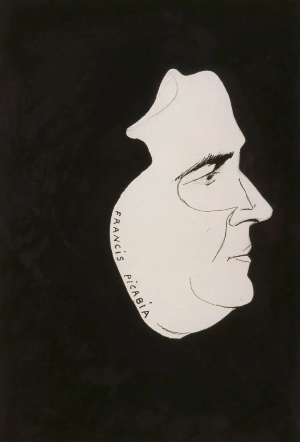 Francis Picabia: Expanding Horizons