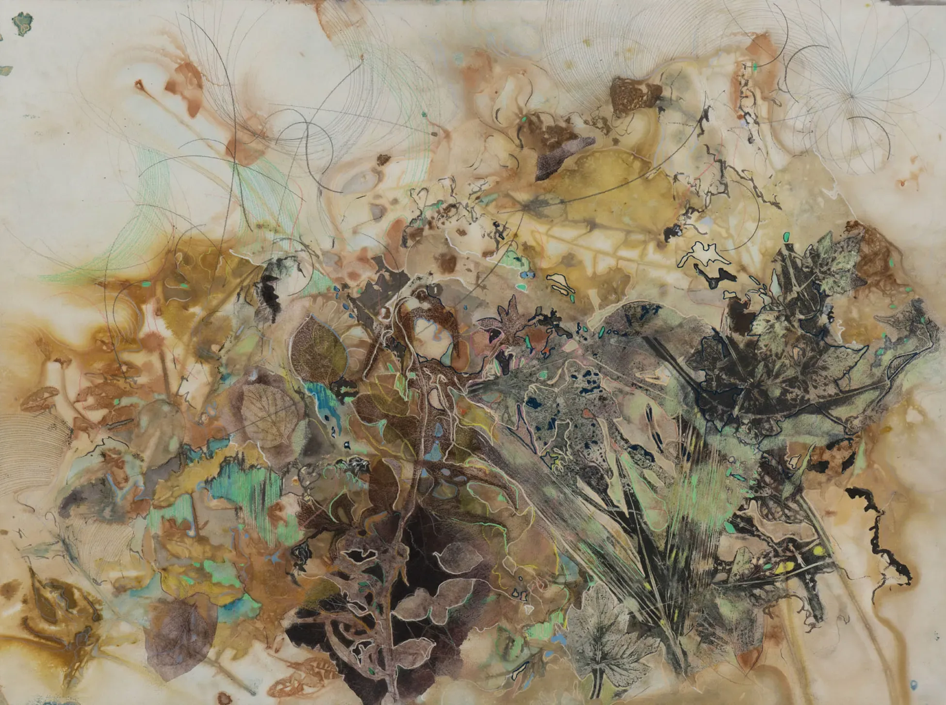 Jowita Wyszomirska: Echoes of the Understory, Wahington D.C.