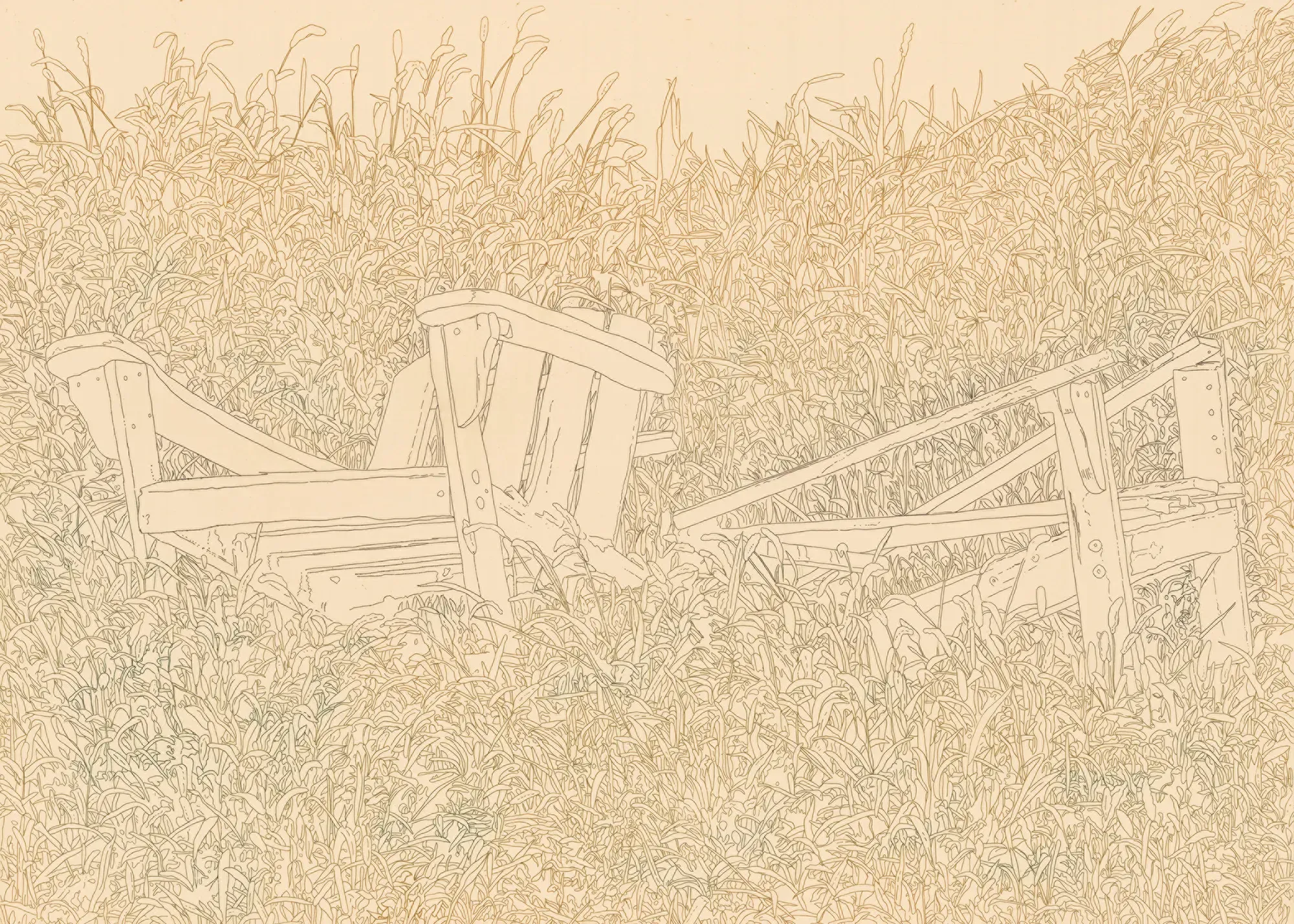 Teralyn Brown: Overgrown, Madison