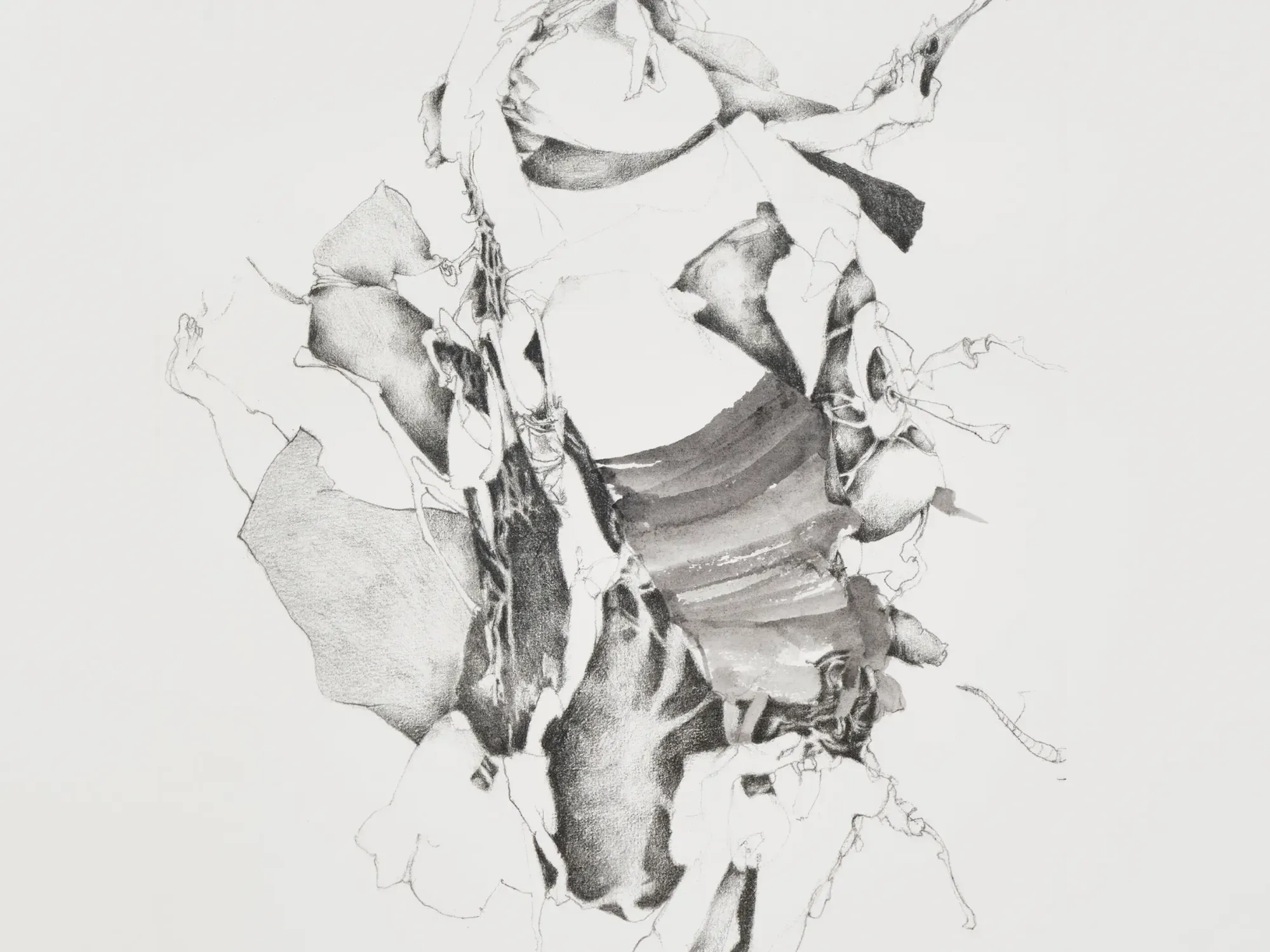 Christine Ay Tjoe’s print Covered Player #02 combines a graphite etching, based on an original drawing by the artist, with overlaid washes of colour to render amorphous forms that materialise psychological turmoil.