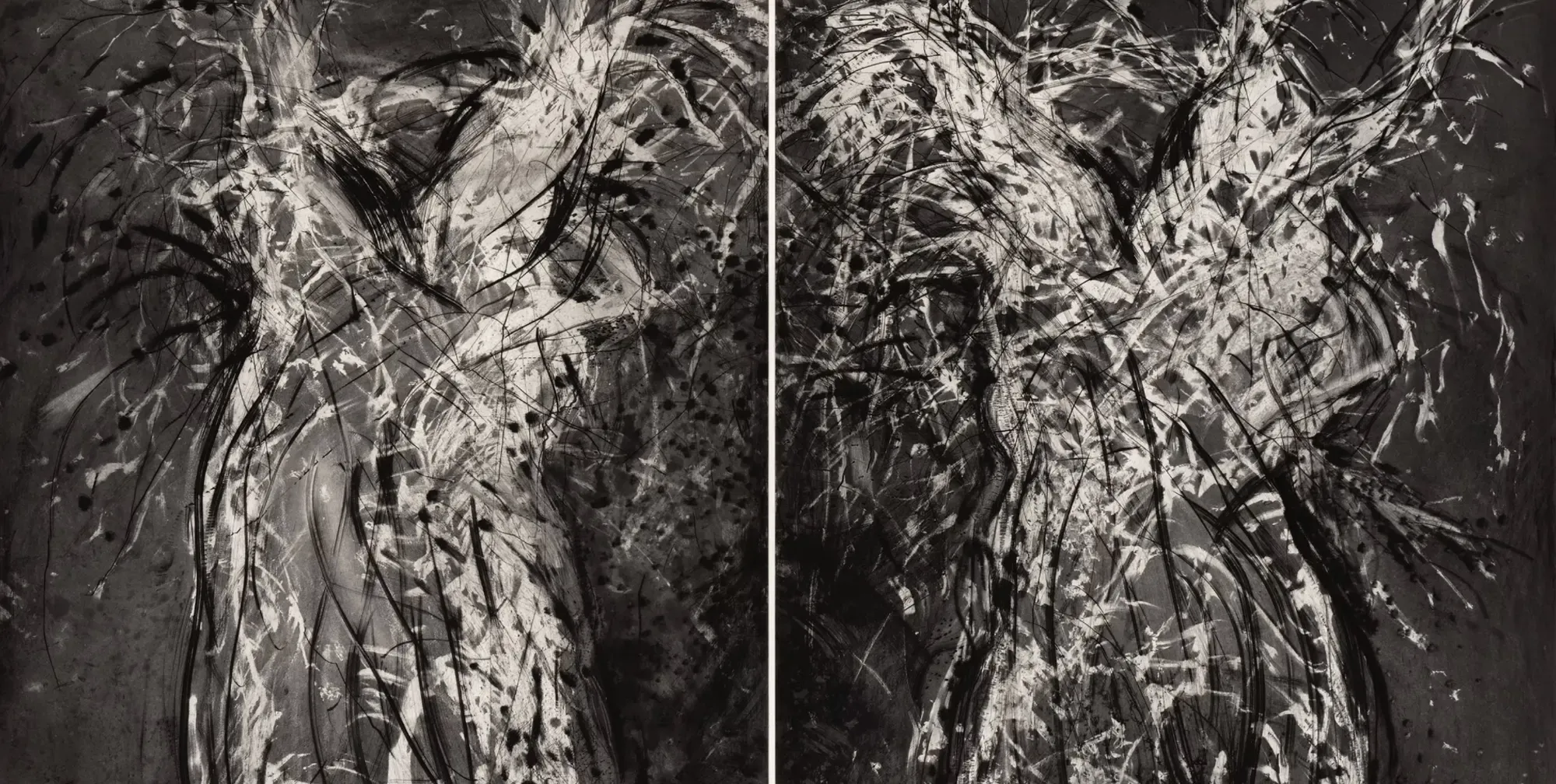 Jim Dine, Swaying in the Florida Night, 1982-83. Etching, drypoint, and aquatint, 47 x 70-1/2 inches. Edition: 65. Published by Graphicstudio, University of South Florida, Tampa. Photo Credit: Patrick Carew.