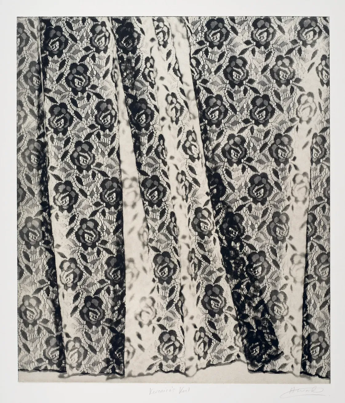  Veronica's Veil (i)  Rachel Howard 2026  27 5/16 x 23 13/16 in  Etching with Japanese Hosokawa paper chine collé  Published by Manifold Editions  (c) Manifold Editions & Rachel Howard