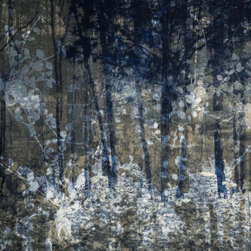 Viewing Room Image 1