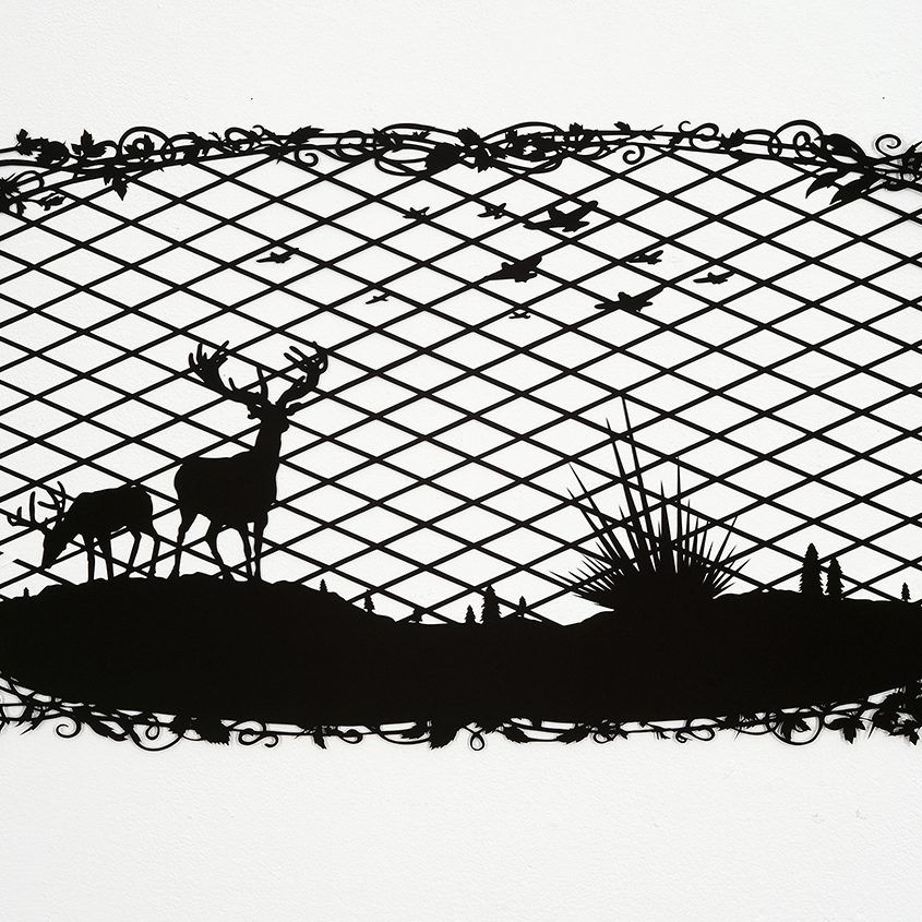 Viewing Room Image 4