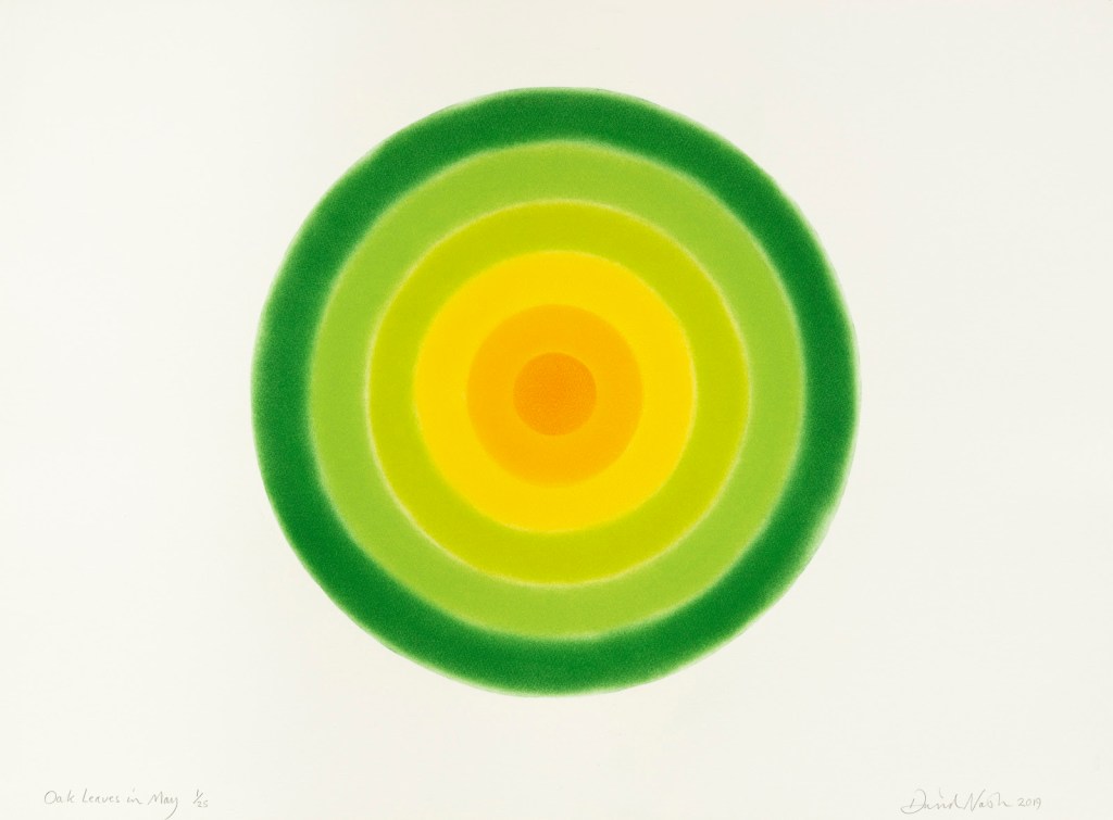fine art print online exhibition vy cristea roberts gallery showing david nash green circles in circles