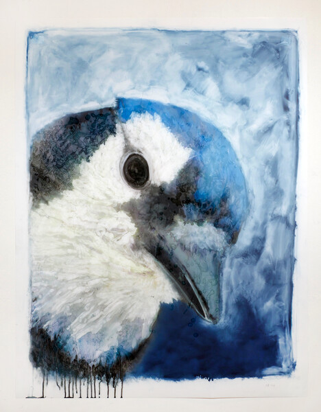 fine art print image of Ida Applebroog, Portraits (Blue Jay), 2019, Ultrachrome ink and gel on mylar