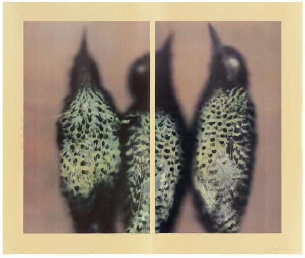 fine art print lithograph by ANN HAMILTON Green-barred Woodpecker, 2021 5-color lithograph, two panels