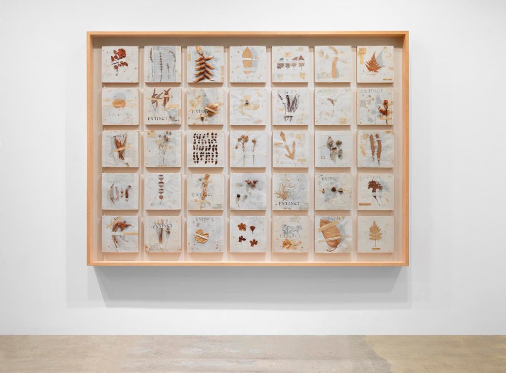 Michelle Stuart, Extinct, 1992. Plants, seeds, and hand-printing on rice paper, mounted to pine supports, Framed: 69 1/2 x 95 x 4 3/4 in.