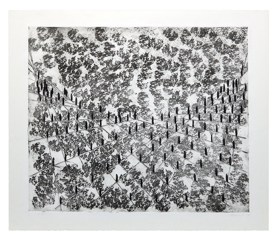 Richard Artschwager Cactus Scape No. 2 1981 Drypoint and solvent on Rives BFK paper