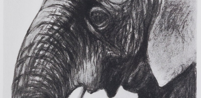 Henry Moore_Elephants Head_1981