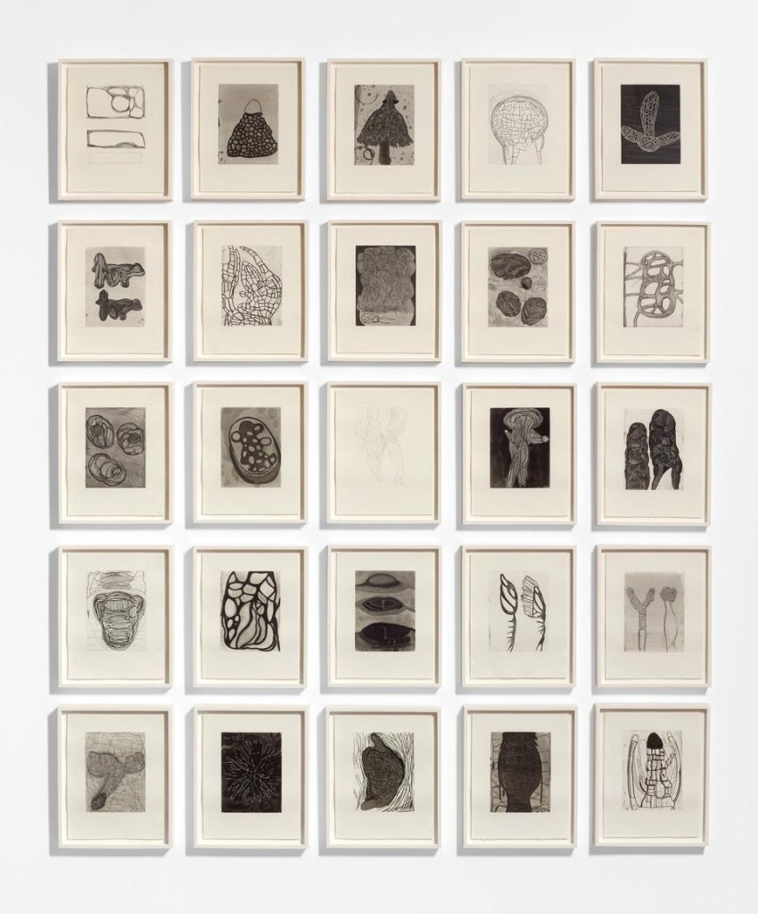 Terry Winters, Field Notes (1992), suite of twenty-five etchings, ﻿13 x 10 in (33 x 25.4 cm) each, edition of 75