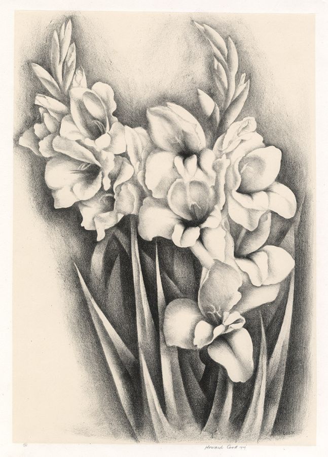 Howard COOK, Gladiola, 1929, Lithograph. Courtesy of Conrad R. Graeber Fine Art