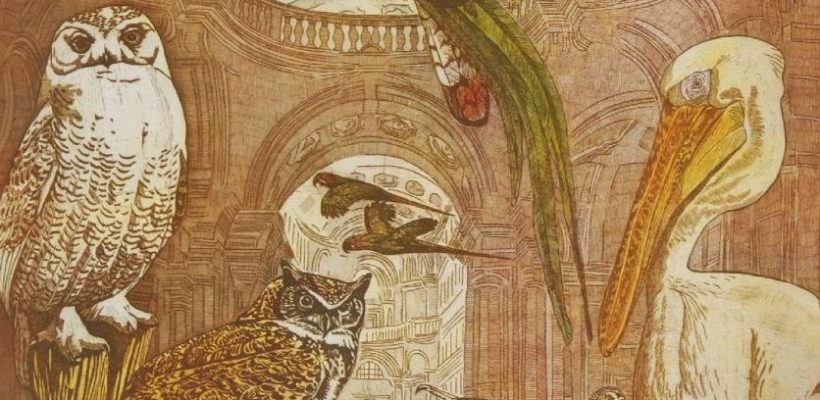 Annemarie Petri_The Ornithological Museum III