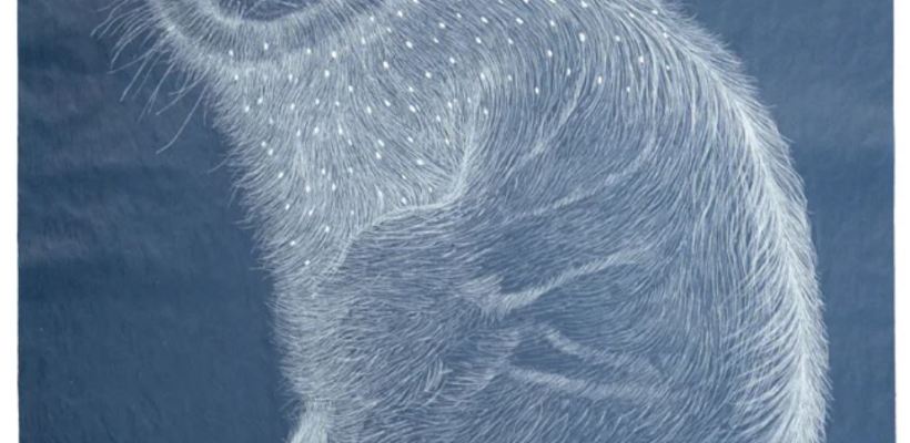 planthouse _ valerie hammond