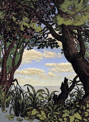 Plant House Nicholas Ruth